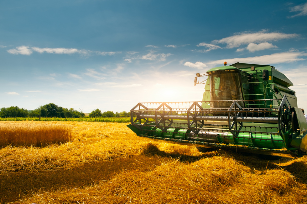 Harvester Machine to Harvest Wheat Field Working